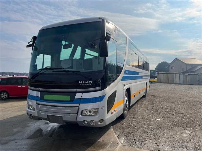 2006 Hino S'elega