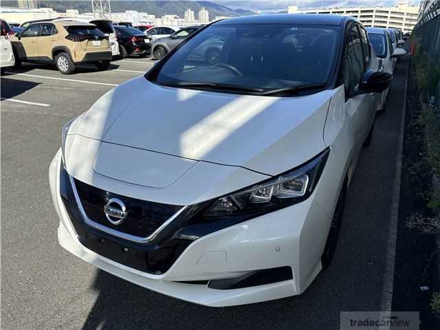 2019 Nissan Leaf