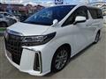 2023 Toyota Alphard G