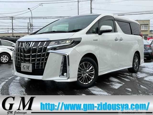 2021 Toyota Alphard G