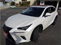 2019 Lexus Other