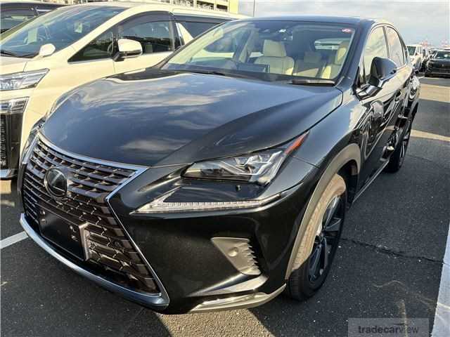 2019 Lexus Other