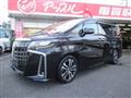 2020 Toyota Alphard G