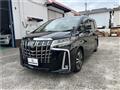 2019 Toyota Alphard G