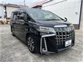 2019 Toyota Alphard G