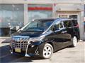 2022 Toyota Alphard G