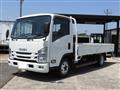 2018 Isuzu Elf Truck