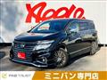 2019 Nissan Elgrand