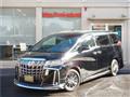 2022 Toyota Alphard G