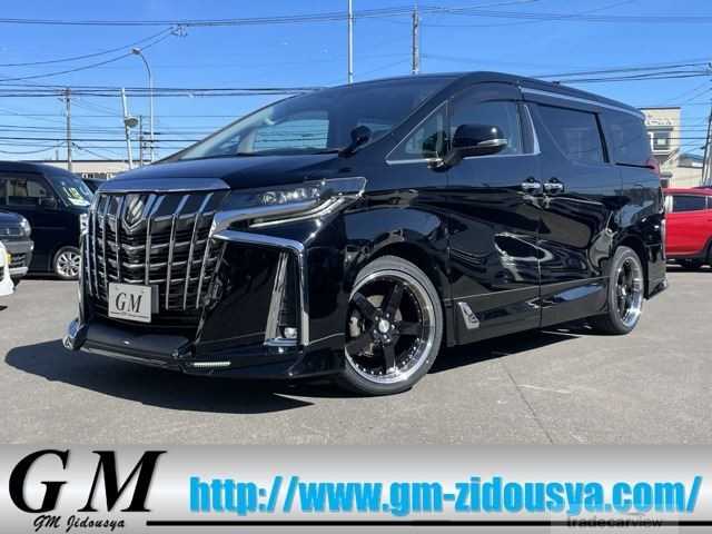 2019 Toyota Alphard G