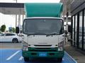 2018 Isuzu Elf Truck