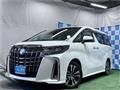 2020 Toyota Alphard G