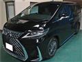 2019 Toyota Alphard G