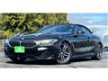 2019 BMW 8 Series