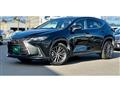 2024 Lexus NX