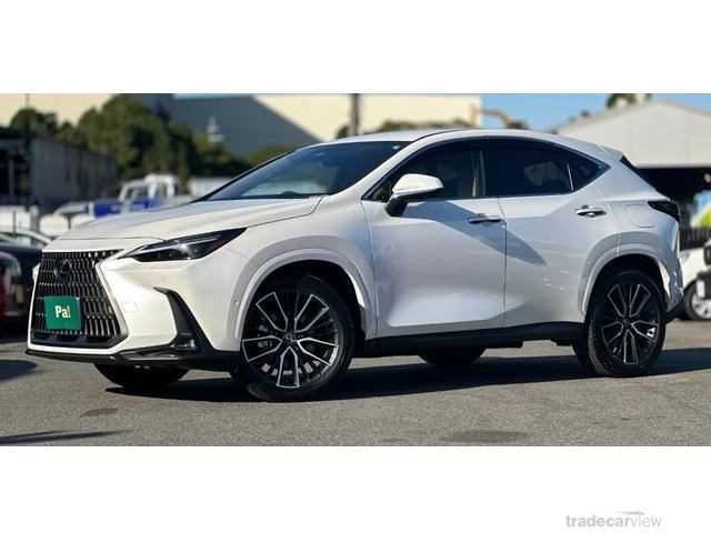 2024 Lexus NX