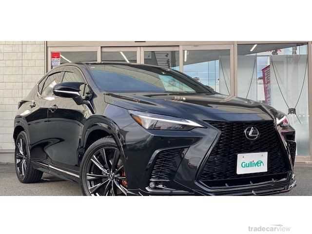 2024 Lexus NX