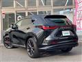 2024 Lexus NX