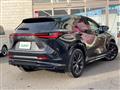 2024 Lexus NX