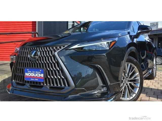 2023 Lexus NX