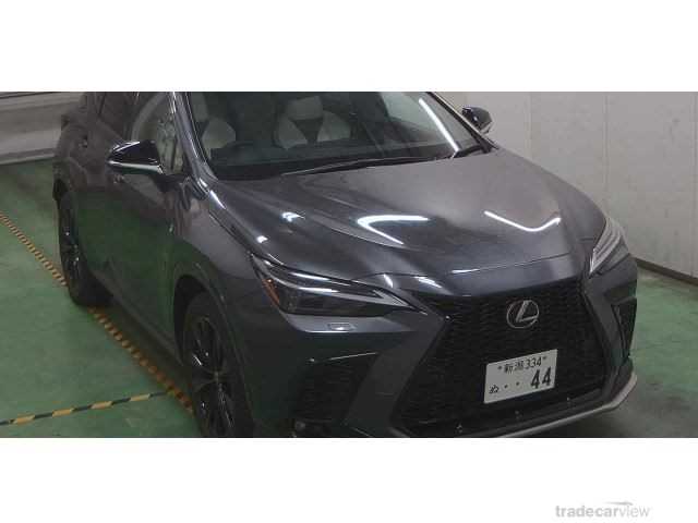 2023 Lexus NX