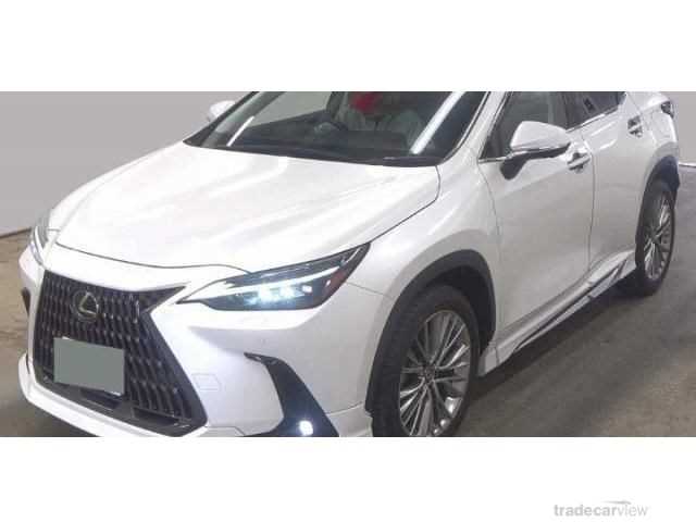 2022 Lexus NX