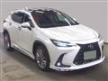 2022 Lexus NX