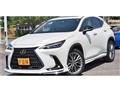 2022 Lexus NX