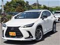 2022 Lexus NX