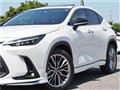 2022 Lexus NX