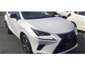 2021 Lexus NX