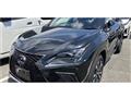 2021 Lexus NX