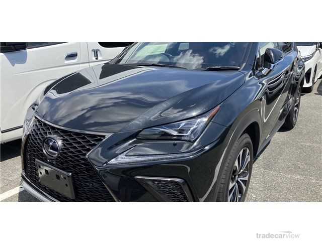 2021 Lexus NX