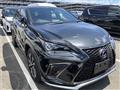 2021 Lexus NX