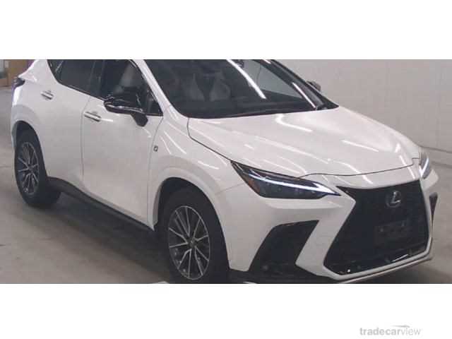 2021 Lexus NX