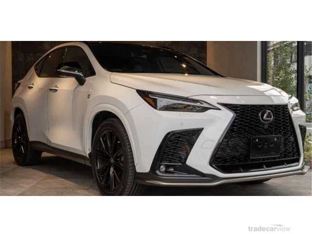 2021 Lexus NX