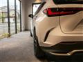 2021 Lexus NX