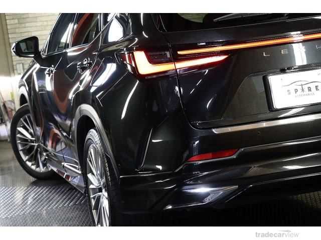 2021 Lexus NX