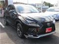 2020 Lexus NX