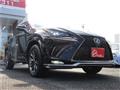 2020 Lexus NX