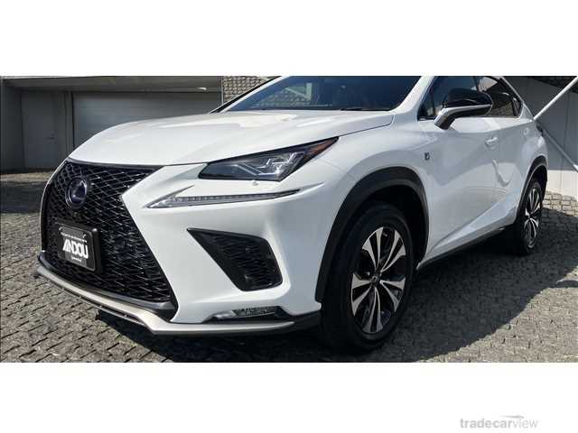 2020 Lexus NX