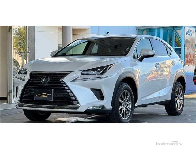 2019 Lexus NX