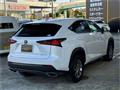 2019 Lexus NX