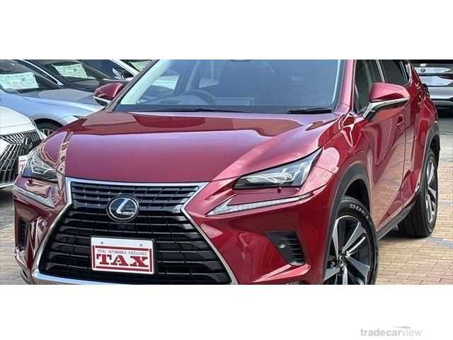 2019 Lexus NX