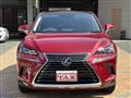 2019 Lexus NX