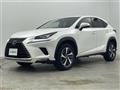 2019 Lexus NX