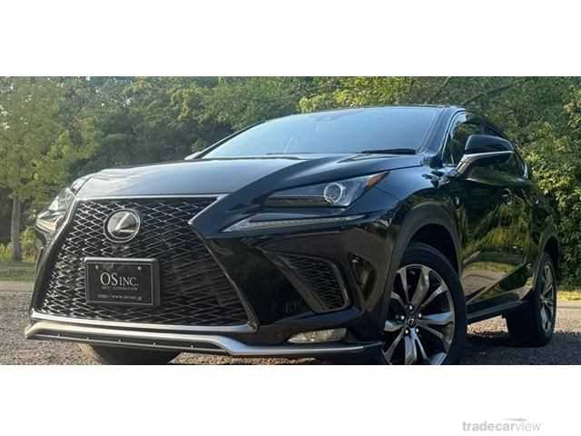 2019 Lexus NX