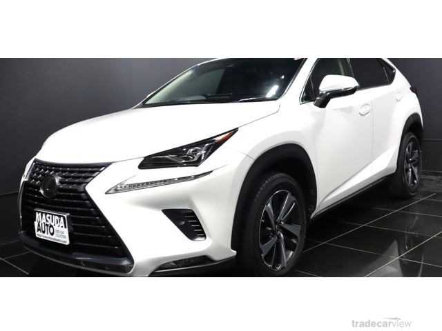 2018 Lexus NX