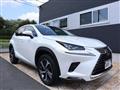 2018 Lexus NX