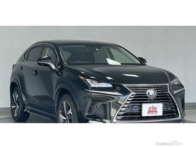 2018 Lexus NX